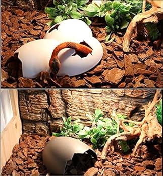 Amazon | 爬虫類向けのシェルター 隠れ家 水族館 ケーブ